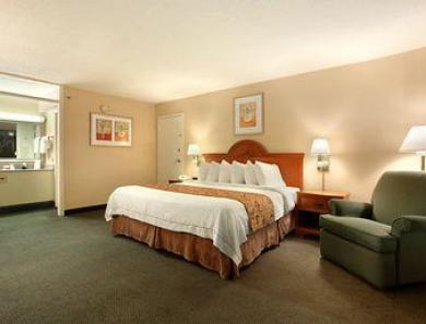 Ramada By Wyndham Asheville / Biltmore West Номер фото